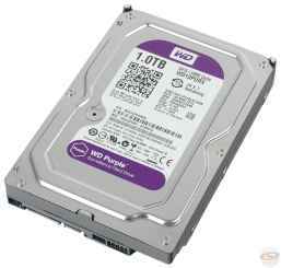 WD 1Тб Purple WD10PURX