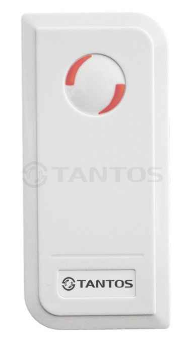 TS-CTR-EMF Black Автономный контролле доступа (2)