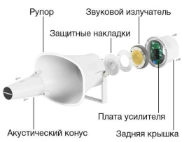 tscupu0iezg527kj3o61bcyda33zppfw