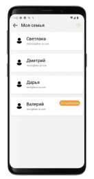 BAS-IP Link Mobile